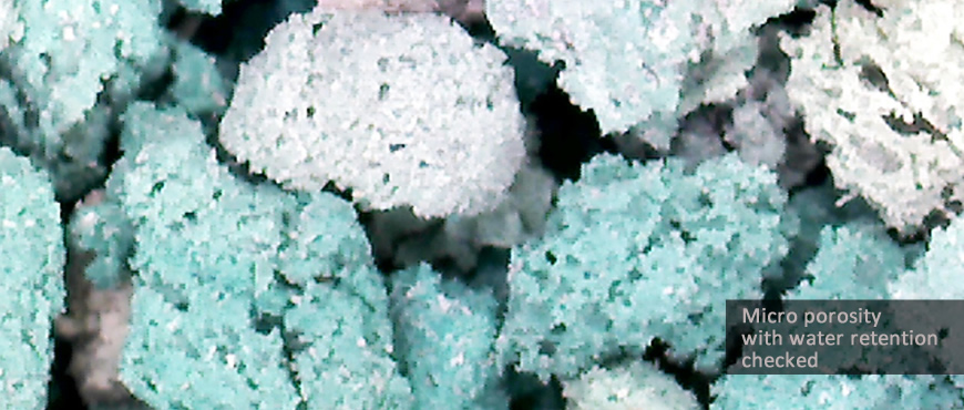 polygreen